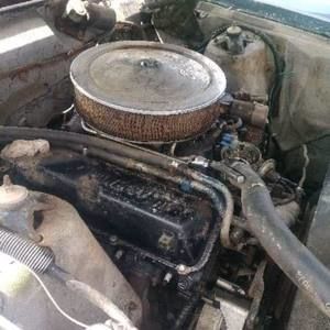 Meet your Posher, Cole